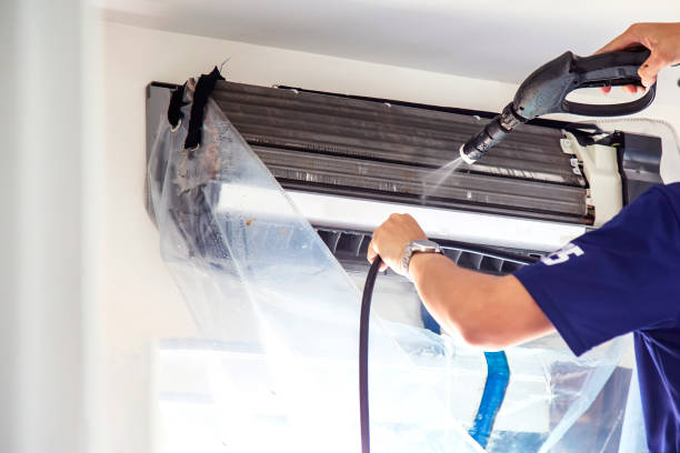 Air Duct Mold Removal in WA