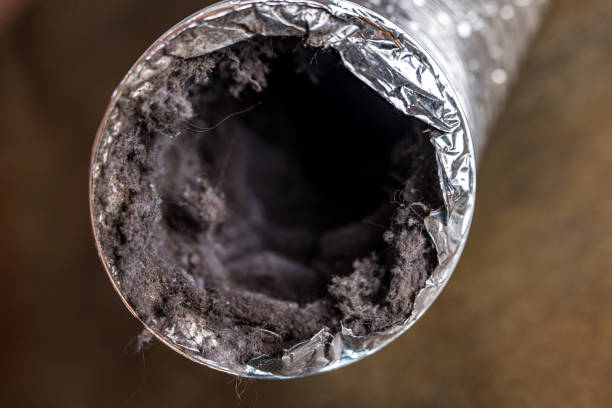 Best HVAC Duct Inspection Services  in Lynnwood, WA